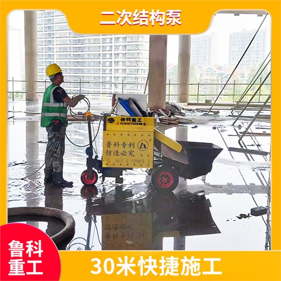 二次结构楼层砼输送泵 二次结构楼层砼输送泵