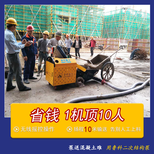 中国二次结构输送泵
