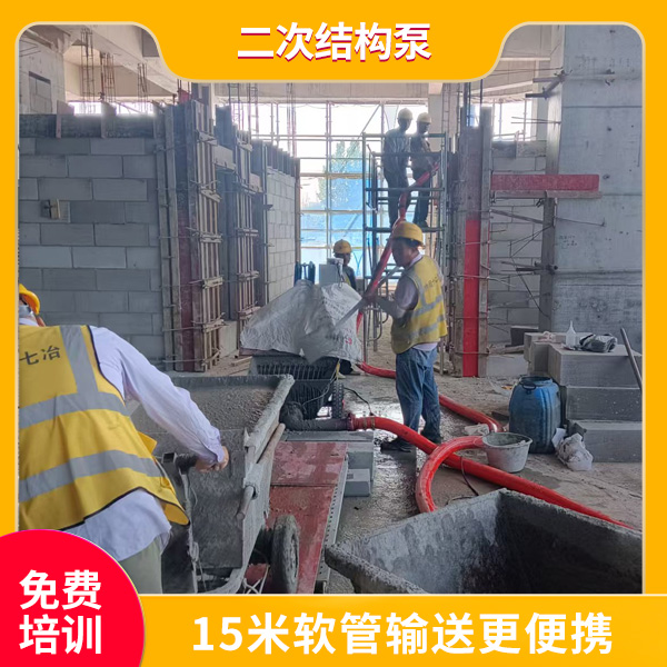 二次结构灌柱子的小型泵